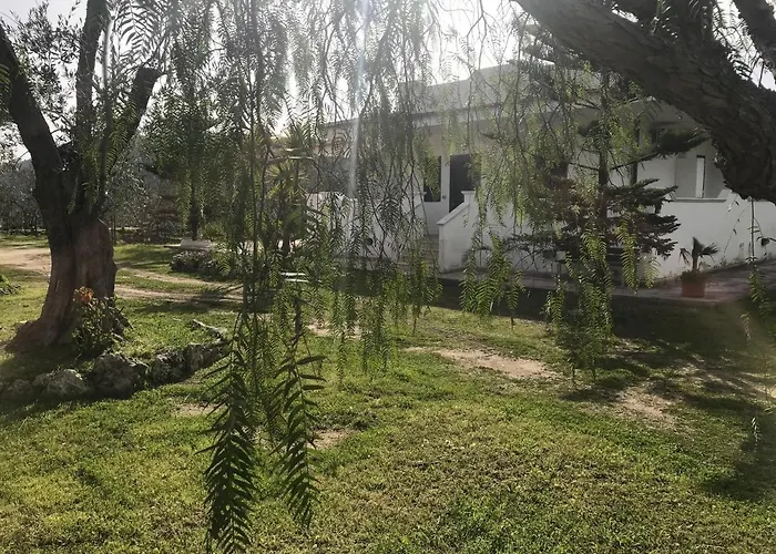 Tatil Evi Angela *